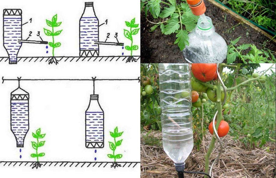 Как организовать полив в теплице из пластиковых бутылок или канистр