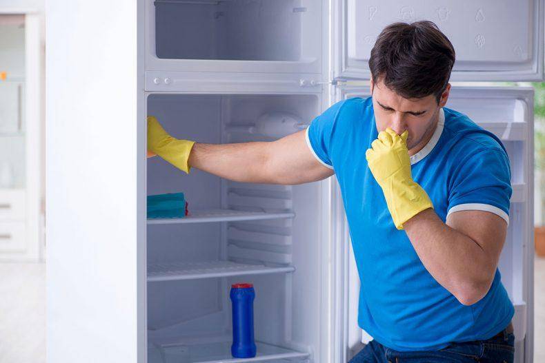 Чем мыть новый холодильник внутри перед включением: нужно ли чистить перед первым запуском, как убрать запах домашними средствами?