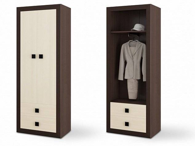 Обзор шкафов для одежды двухстворчатых, правила выбора