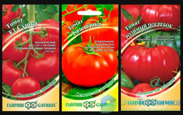 Лучшие сорта томатов для урала для теплиц и открытого грунта