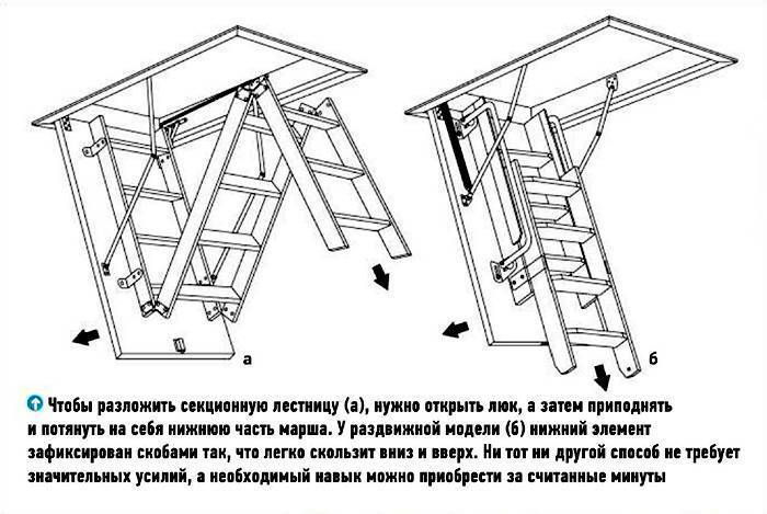 Современные раскладные лестницы на чердак: 5 видов