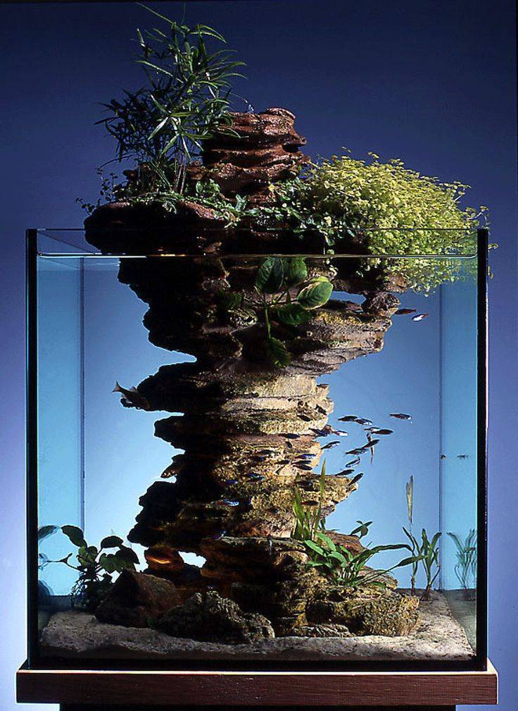 Дизайн аквариума: стили интерьера, красивое оформление своими руками с помощью макетов и растений