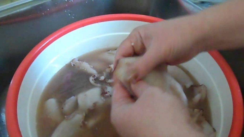 Как варить кальмары, чтобы они были мягкие