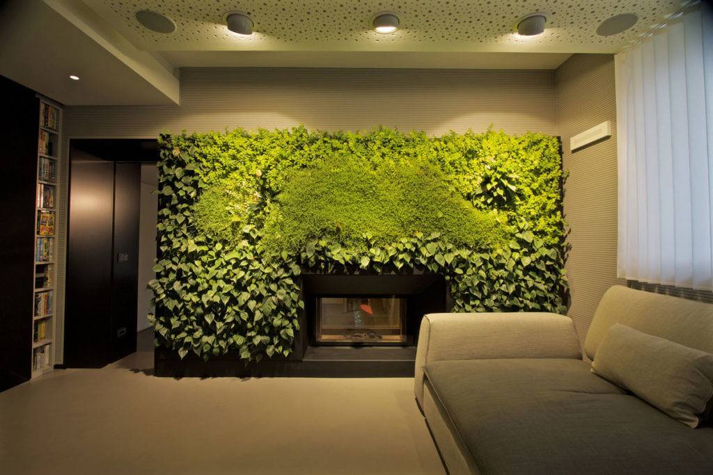 Зимний сад в квартире: оранжерея и зеленый цветочный уголок с фото