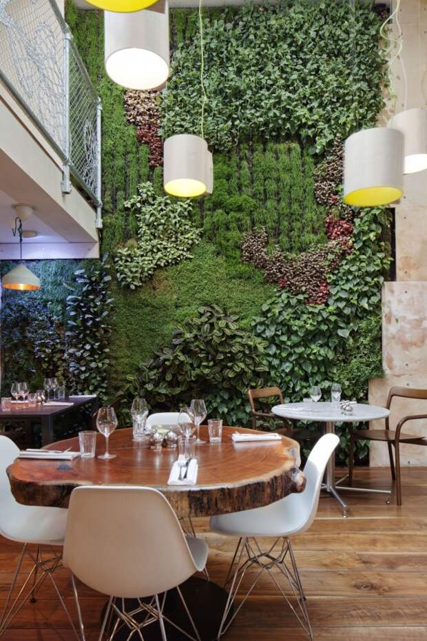 Вертикальное озеленение стен – свежие идеи и системы