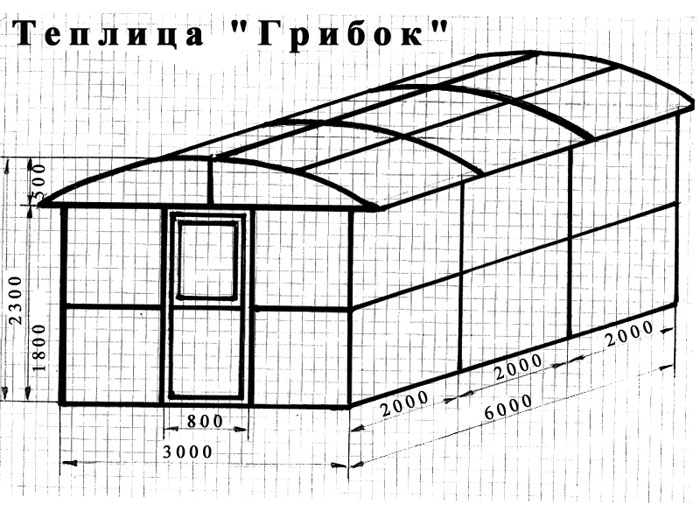 Теплица из поликарбоната своими руками: инструкции с пошаговыми фото