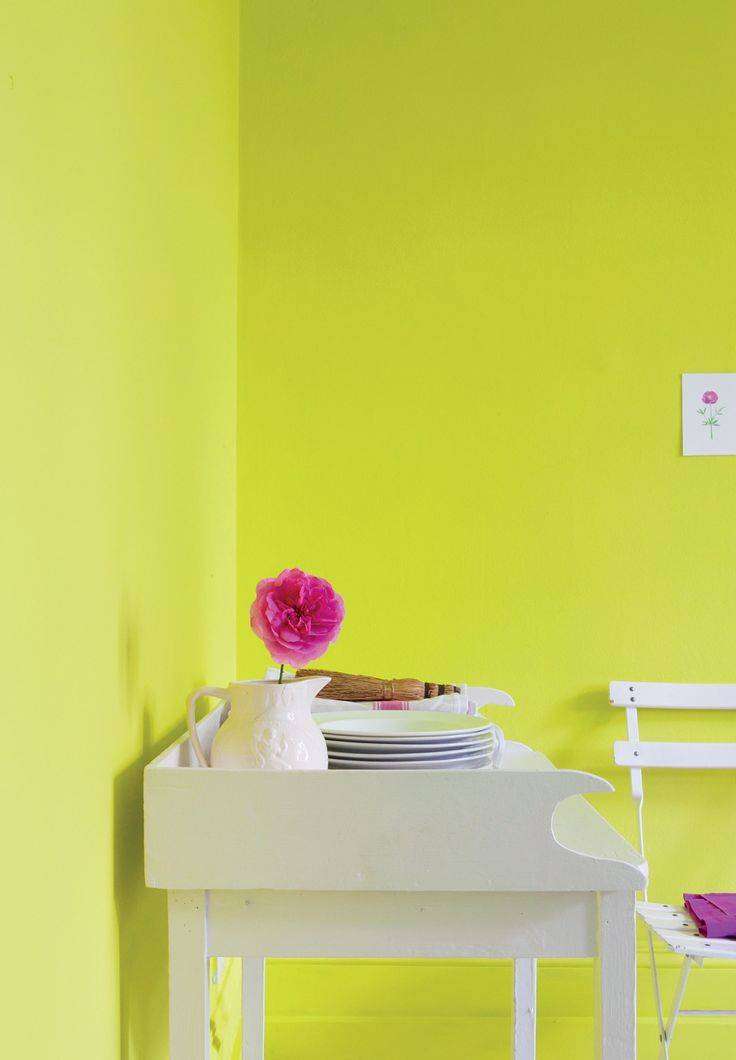 Краска для стен в квартире (60 фото): как выбрать правильно? - happymodern.ru