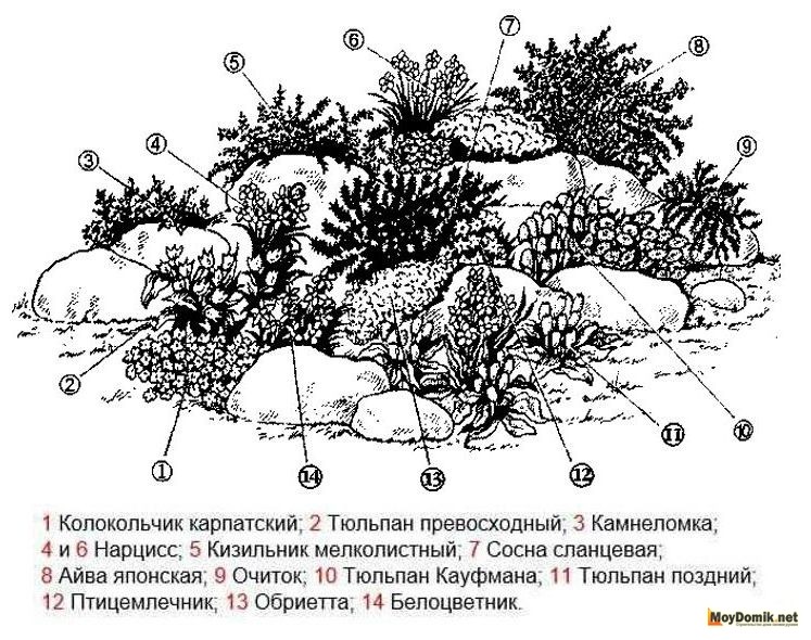 Эскиз альпийская горка