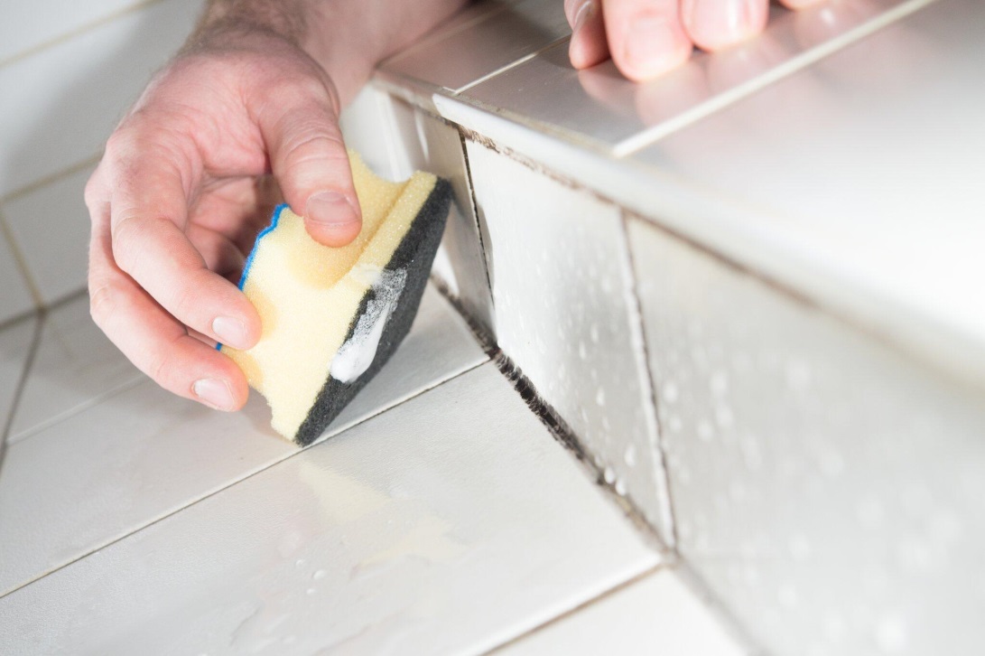 Как убрать плесень в ванной: 11 способов, полезные советы