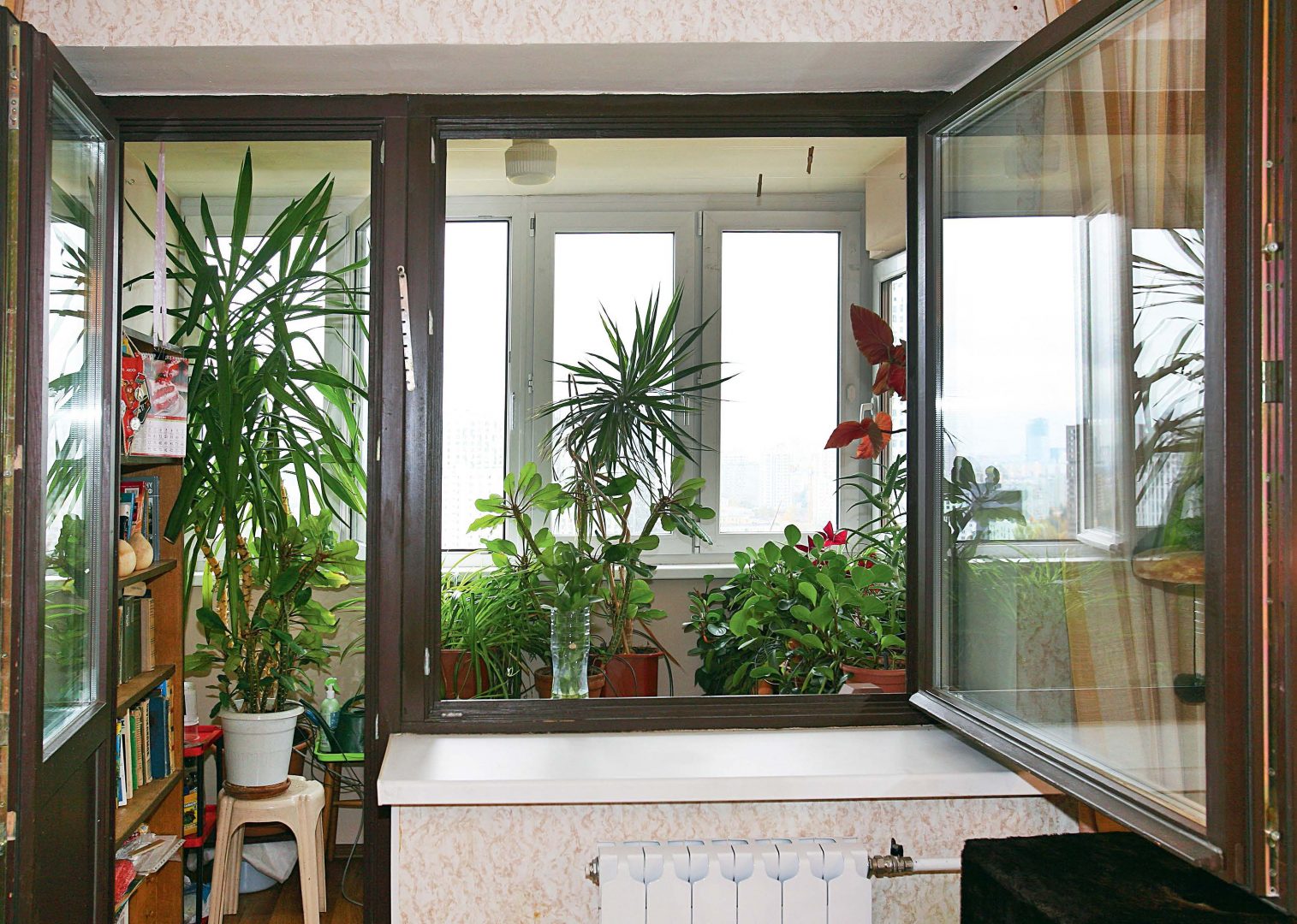 Как сделать зимний сад на балконе квартиры своими руками: фото