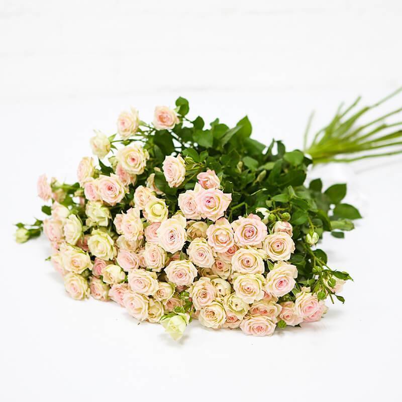 Роскошные кустовые розы: 50 изысканных садов с королевским ландшафтом (фото) - «ландшафтный дизайн»