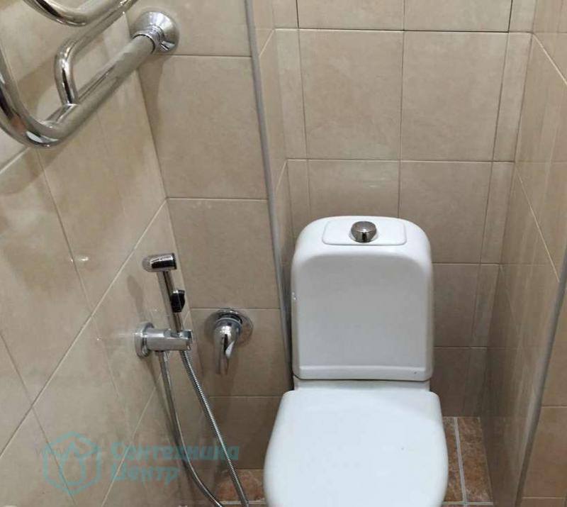 Гигиенический душ для унитаза: фото в интерьере туалета, виды, советы по выбору