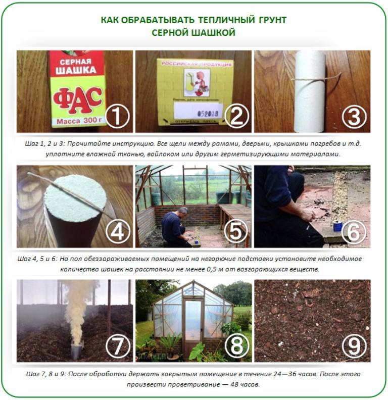 Серная шашка для теплиц и парников: как быстро избавить растения от вредителей и болезней / антонов сад