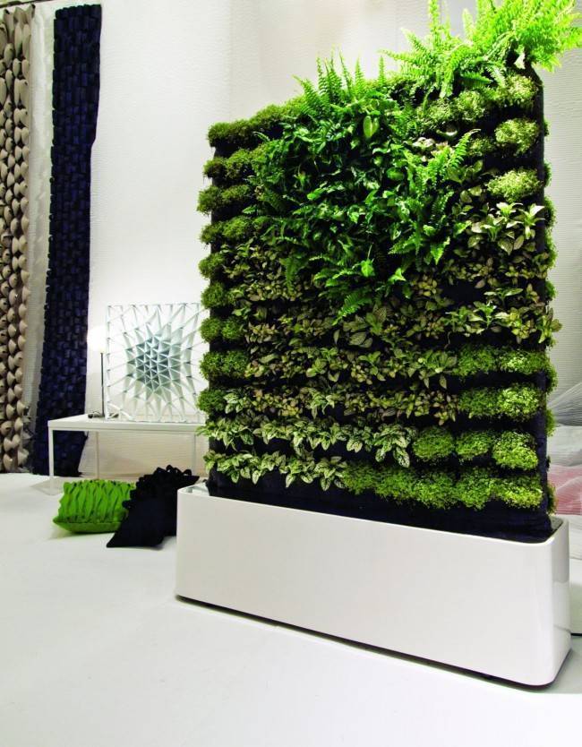 Вертикальное озеленение: 135 фото пользы креативных и стильных вариантов озеленения