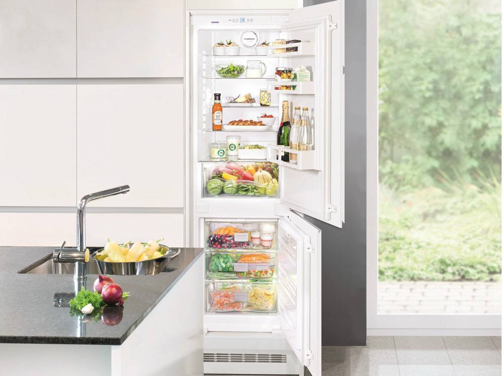 Отличие встроенного холодильника от обычного