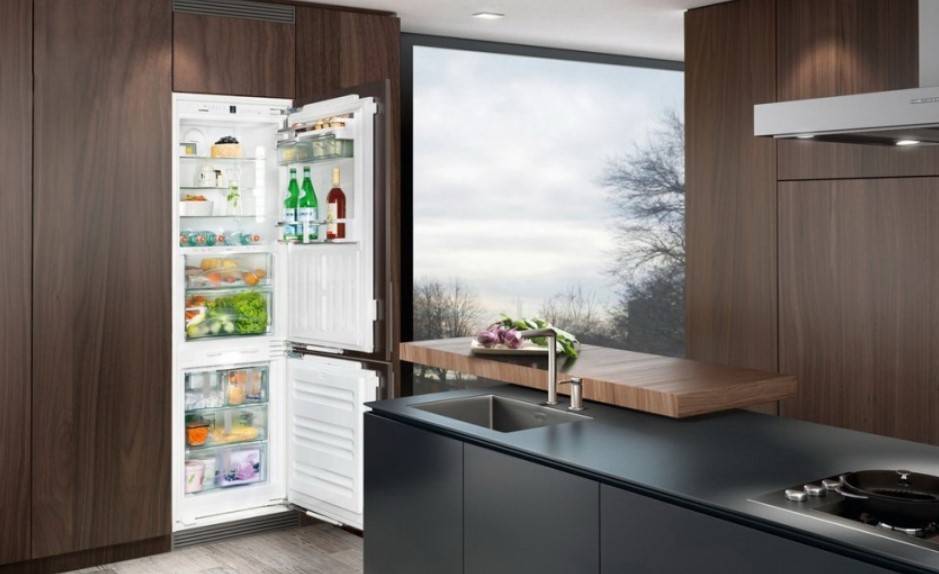 Плюсы и минусы встроенного холодильника в кухню