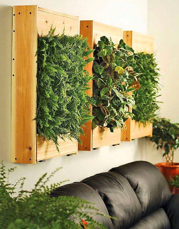 Живая стена - вертикальный сад в квартире и доме - статья - журнал