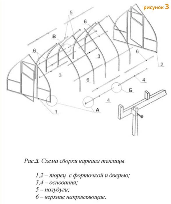 Теплица «мария» и «мария делюкс»: обзор характеристик + технология сборки