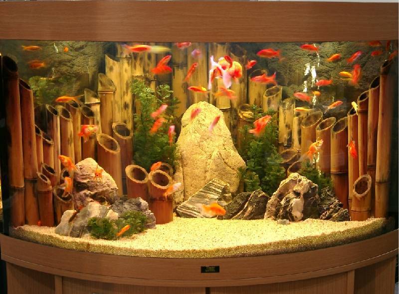 Как сделать декоративный аквариум?