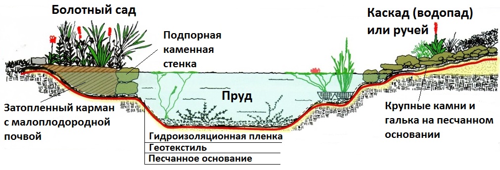 Схема дна водоема