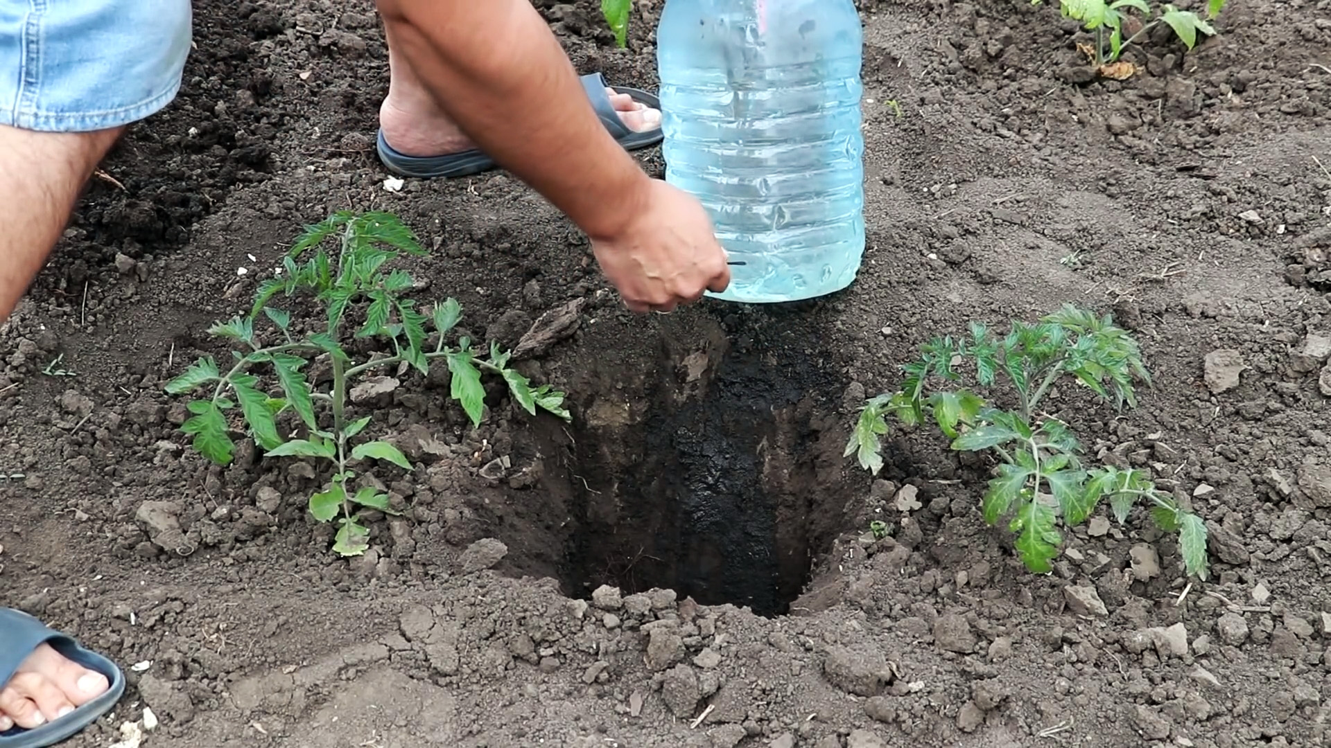 Капельный полив для огурцов своими руками