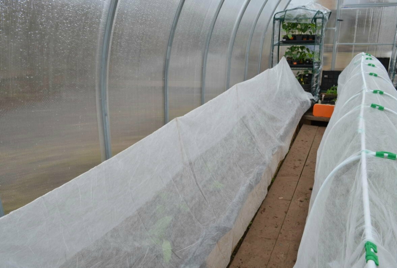 Заморозки в теплице - как спасти рассаду в теплице из поликарбоната от морозов