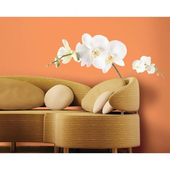 Орхидеи в интерьере квартиры или дома, куда лучше поставить цветок и наклеить обои, красивый дизайн с растением
