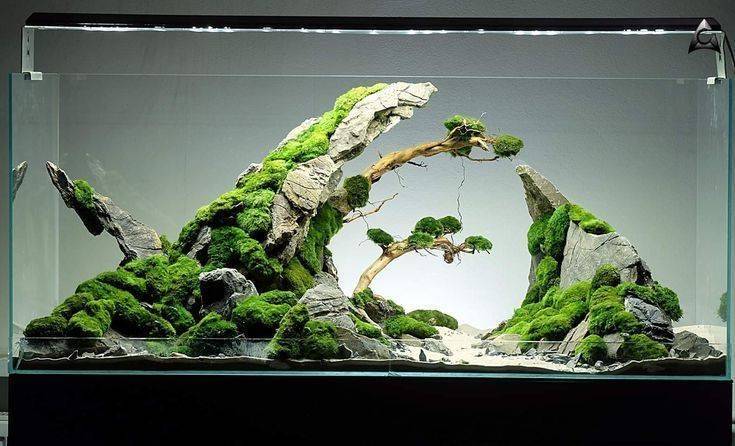 Оформление аквариума: 7 стилей и множество оригинальных идей