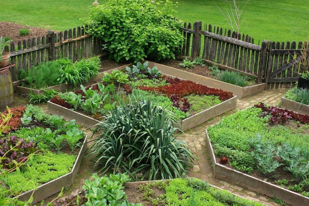 Красивый огород: различные варианты ландшафтного дизайна, интересные идеи оформления грядок на даче из подручных средств  - 28 фото