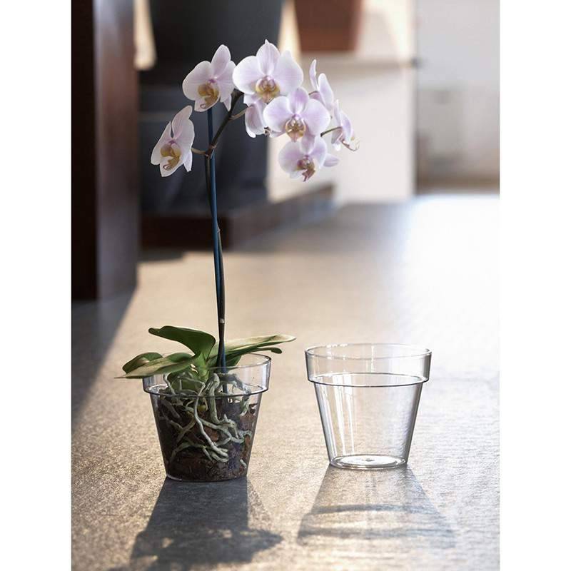 Какой нужен горшок для орхидеи: как лучше выбрать ёмкость, чтобы правильно посадить цветок, должны ли быть дырки, как определиться с размером, а также фото вариантов