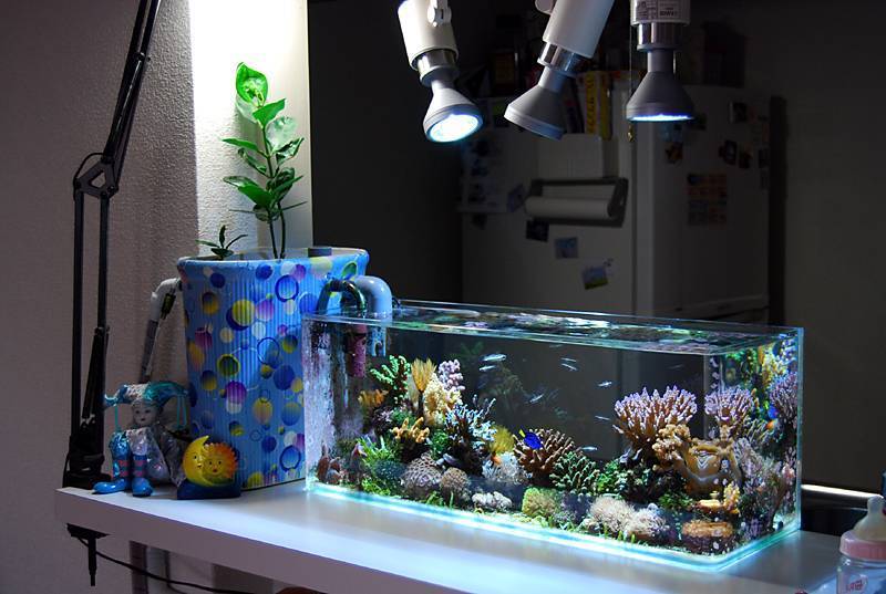 ᐉ самоделки для аквариума своими руками: идеи на фото - zoovet24.ru