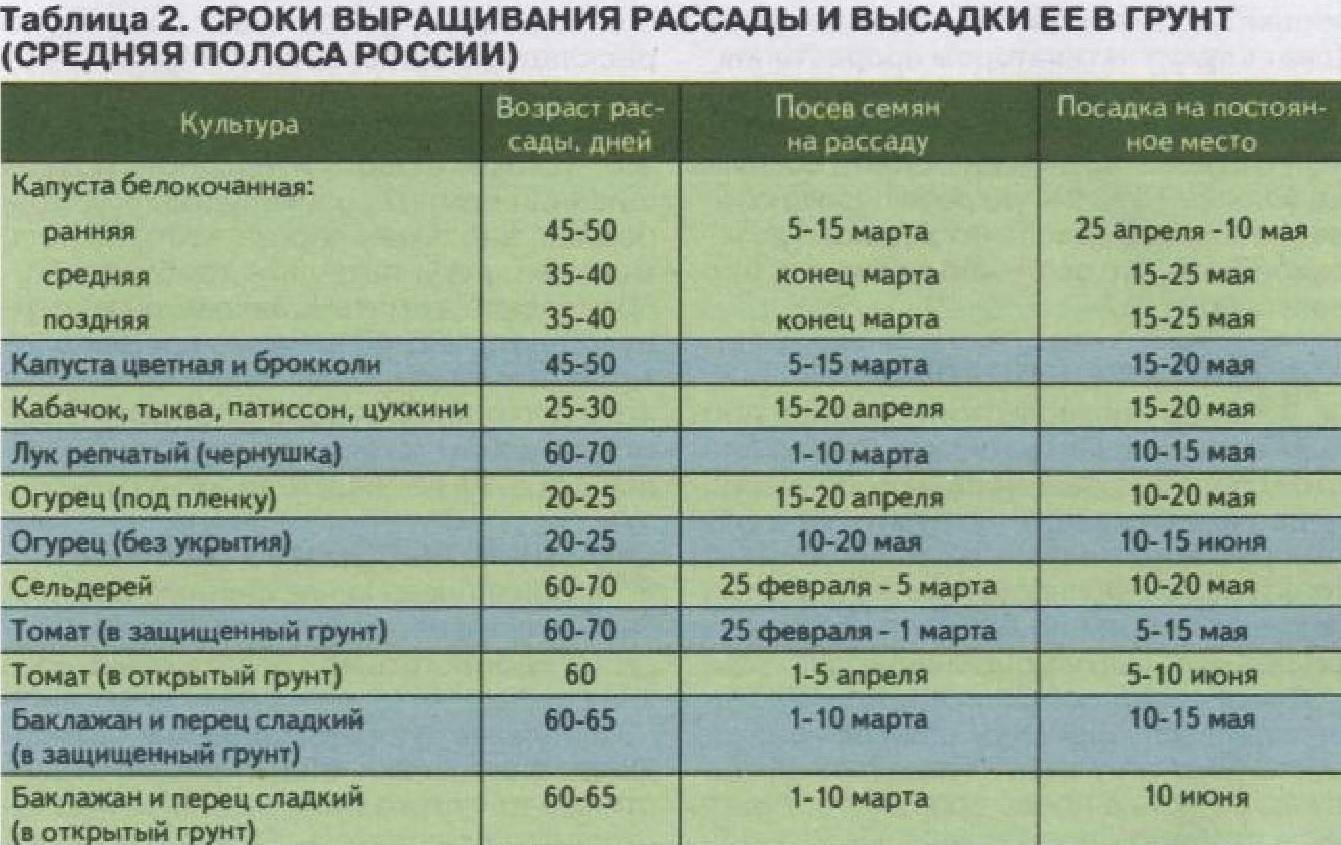 В какие дни сеять семена. Таблица посева рассады в грунт. Сроки рассады для высадки в грунт. Возраст рассады для высадки в грунт таблица. Таблица высадки семян в открытый грунт.