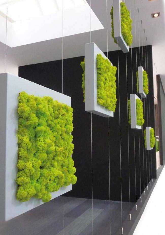 Зеленая стена из растений, искусственная трава в интерьере
 - 14 фото