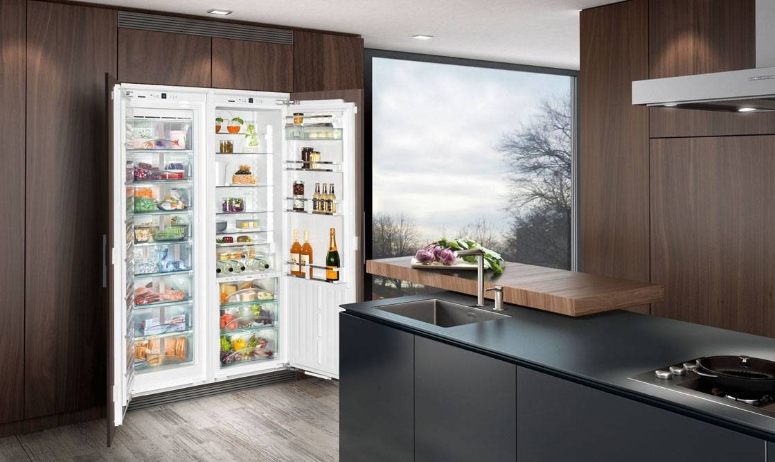Чем отличается встраиваемый холодильник от обычного: какой лучше, в чем отличие, полезные советы по выбору, фото