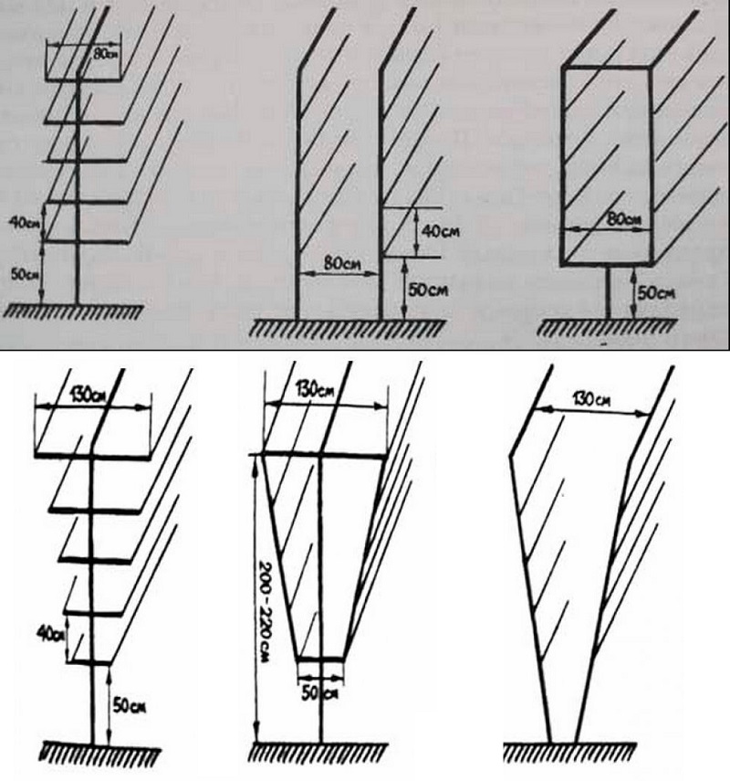 Какой высоты должна быть шпалера для винограда размеры фото