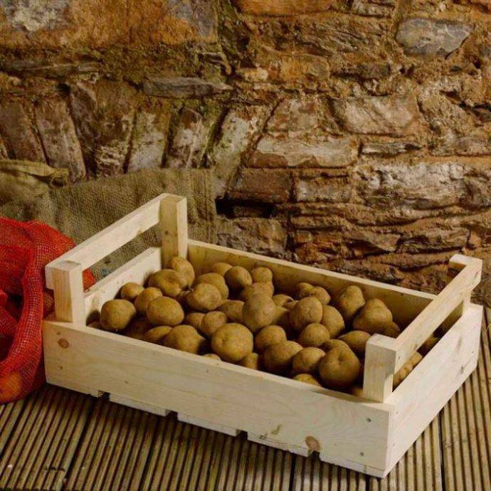 Как хранить картошку на балконе зимой