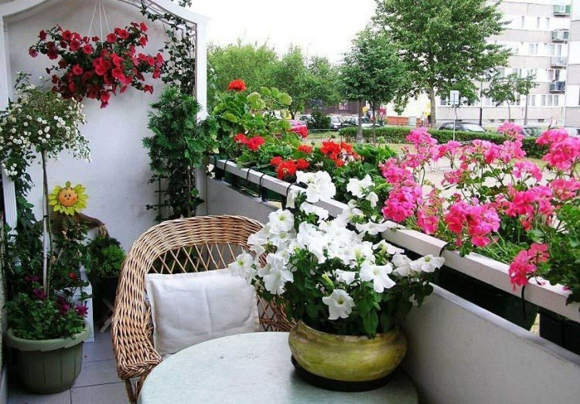 Цветы на балконе: 15 подходящих разновидностей, выбор грунта и обустройство цветника