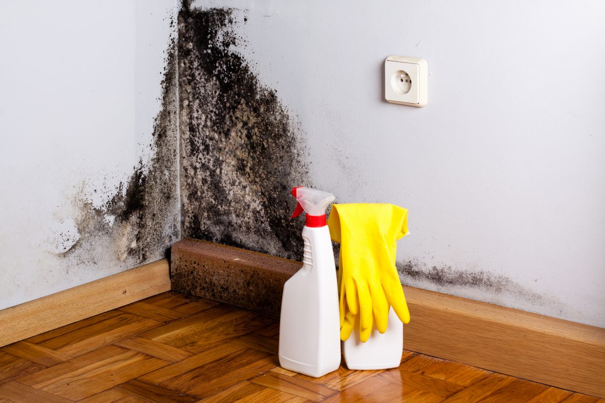 Как быстро избавиться от запаха краски в квартире, доме, помещении