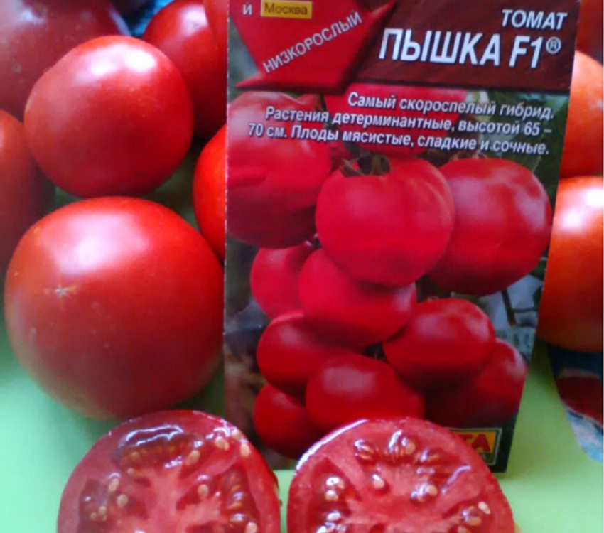 20 лучших сортов томатов, устойчивых к жаре и засухе – фото и названия
