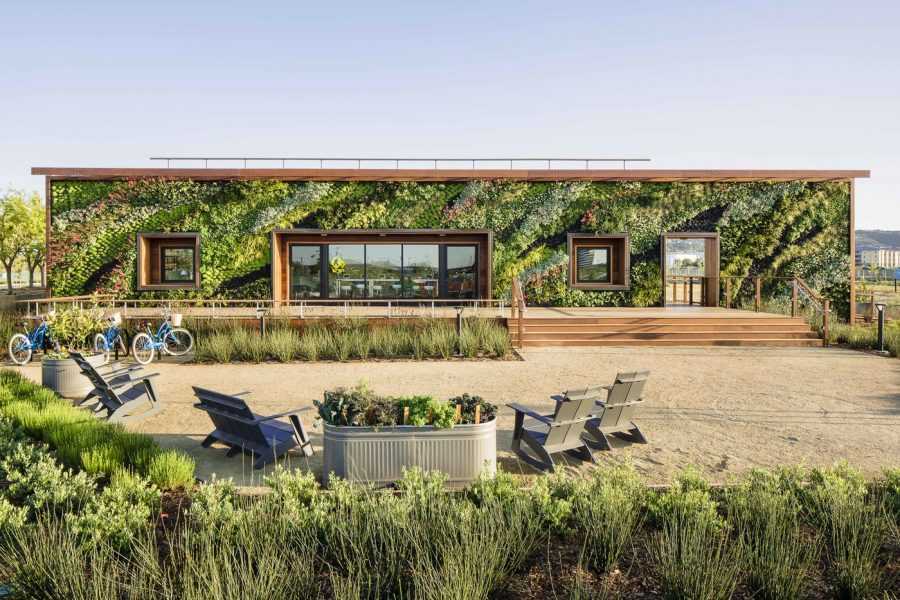 Вертикальное озеленение в ландшафтном дизайне на даче в саду: быстрорастущие цветы, конструкции из сетки
 - 22 фото