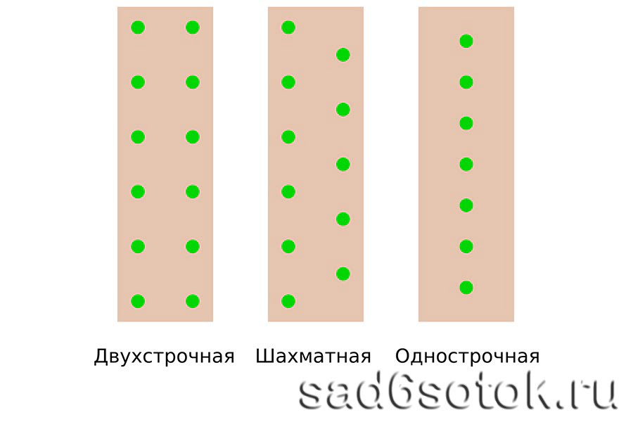 Схема посадки в теплице 3 на 4