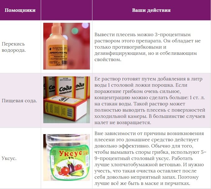 Как избавиться от плесени в холодильнике, борьба с грибком, с помощью чего можно вывести неприятный запах