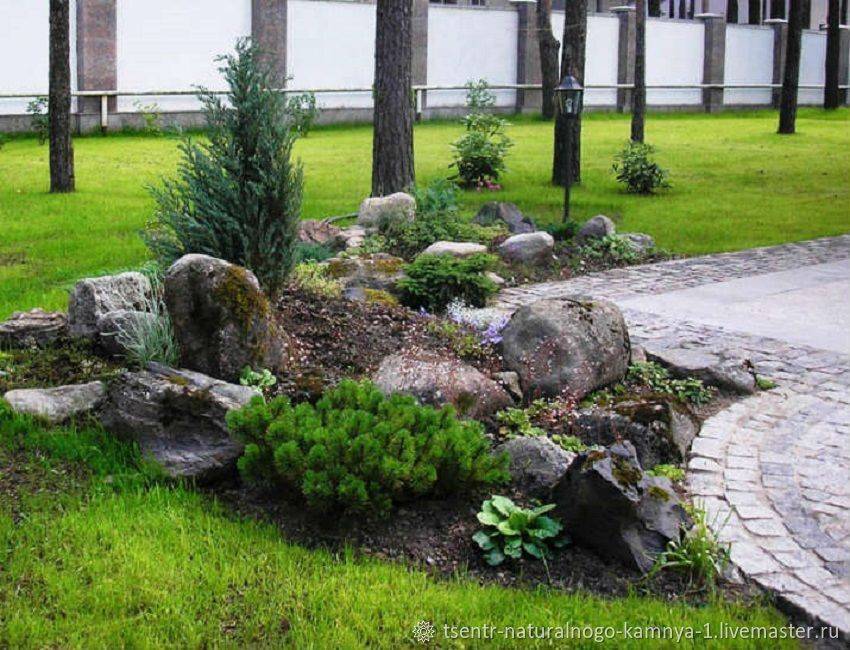Рокарий — пошаговое описание выбора дизайна и особенности применения в саду и на участке (145 фото)