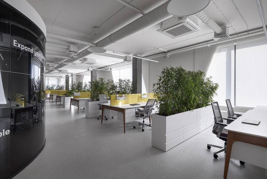 Каким должен быть офис, где рождаются инновации | executive.ru