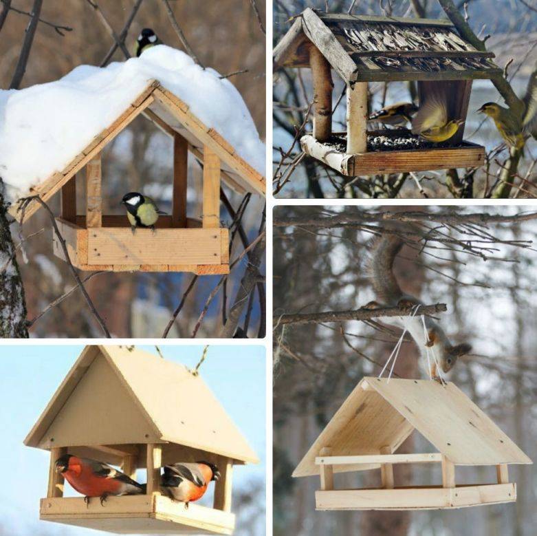 Кормушка для птиц — фото и инструкции по постройке и основные типы кормушек