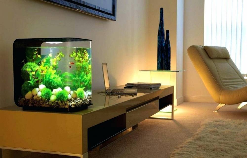 Оформление аквариума: самый красивый дизайн на 50, 100 и 200 литров с корягами и камнями для рыбок
 - 44 фото