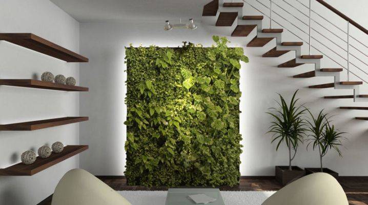Вертикальное озеленение - инструкции ландшафтного дизайна (115 фото)
