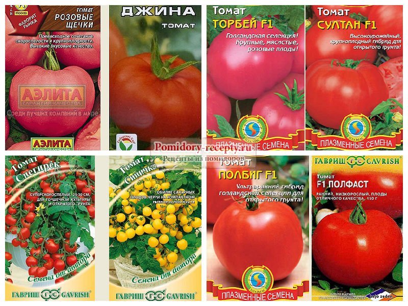 Лучшие сорта томатов для теплиц из поликарбоната: выбираем самые подходящие » eтеплица